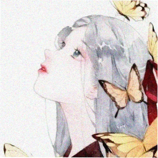 影迷 夏风信徒 的头像